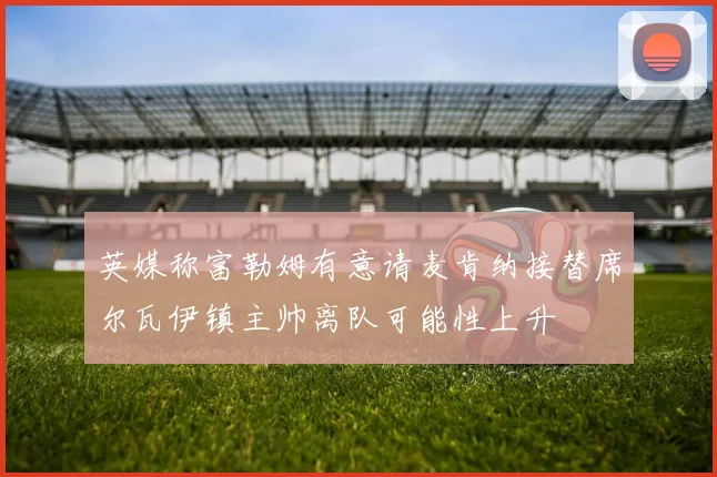 英媒称富勒姆有意请麦肯纳接替席尔瓦伊镇主帅离队可能性上升