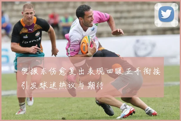 樊振东伤愈复出表现回暖正手衔接引发球迷热议与期待